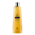 Graham Webb Silk Repair Daily Repair Shampoo 11 oz